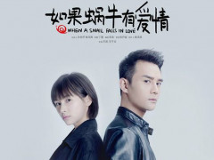 《如果蜗牛有爱情》王凯正义凌然 王子文却是“面摊”