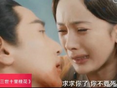 《三生三世十里桃花》夜华临死前表白白浅 夜华白浅爱情看哭众观众