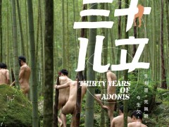 裸男嬉戏海报遭脸书咔擦 《三十儿立》竟有肉便器