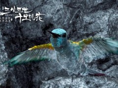 ��Ӱ����������ʮ���һ��������ؼ� ���켫���ɾ���Ч������