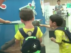 4岁书俊目睹“交配过程” 爸爸李辉宰吓坏:你怎么知道