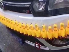 这款超萌外型的防撞警报器保证撞到会吓破胆 网友：图片有声音啊！