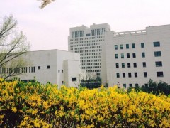 韩国七旬老人性侵亲孙女五年 奶奶无视孙女被性骚扰获刑